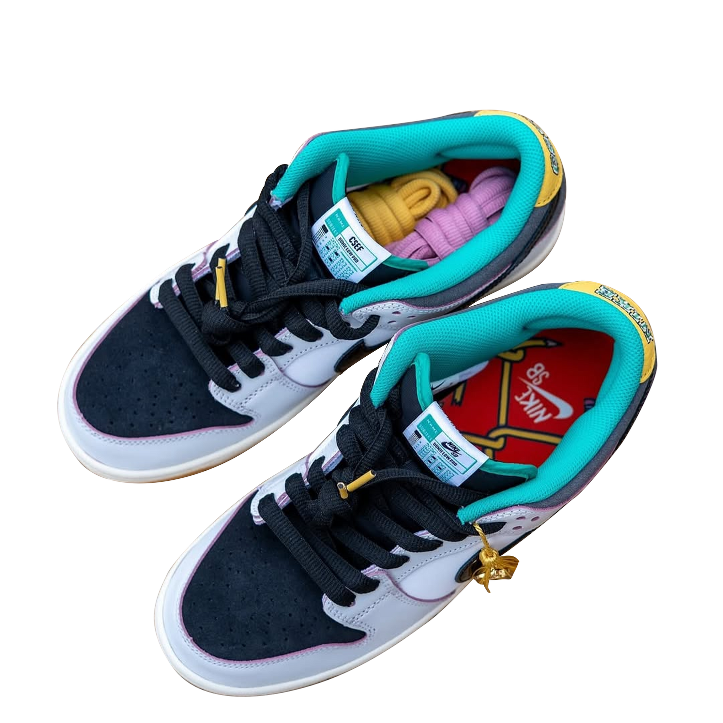 skateboarder