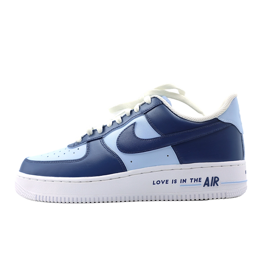 Custom Nike Airforce Blue Dreams