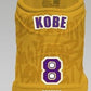 Custom Kobe Bryant Nike Jordan For Harish