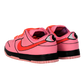 Dunks - Powerpuff Girl Blossoms